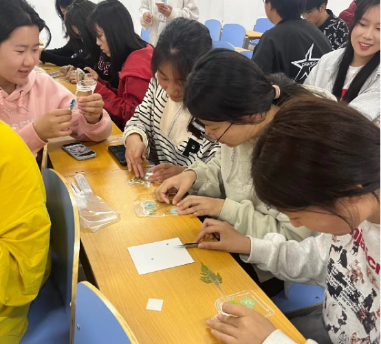 谈球吧体育app下载